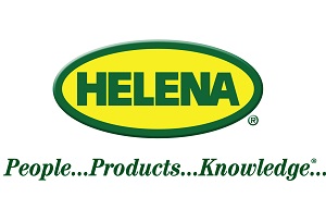 helena-resized